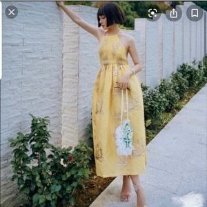 Zara Limited Edition Dress